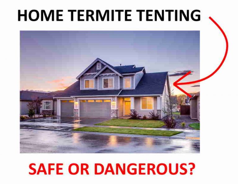 Termite Tenting Dangers Is It Really as Safe as You Think? BugWiz