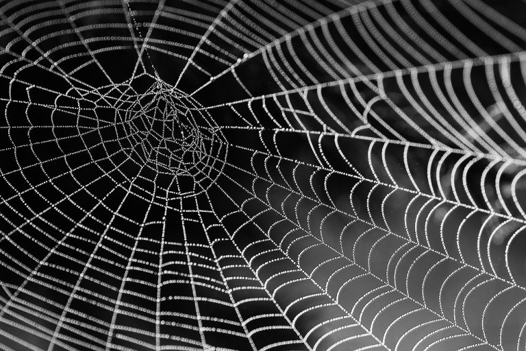 How to Keep Spiders from Making s on Your Porch BugWiz