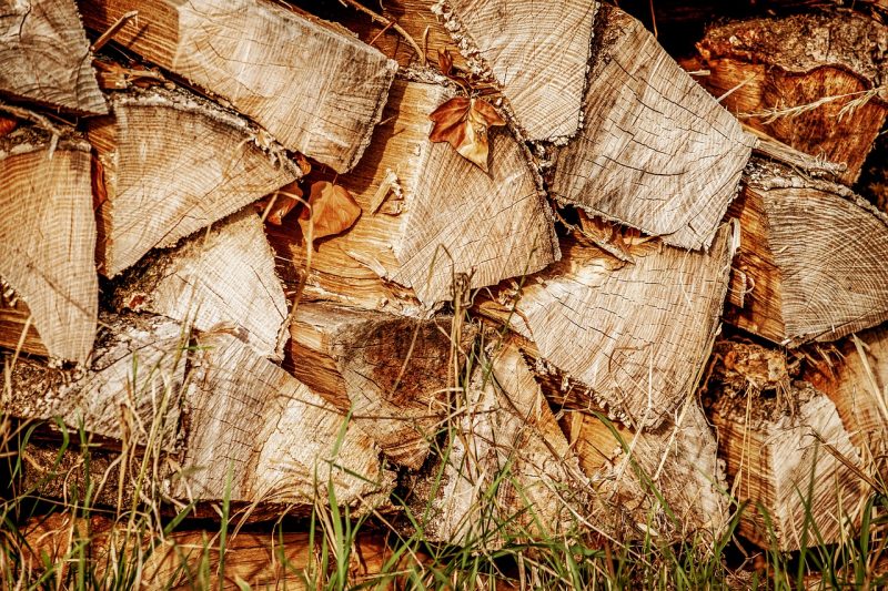 How to Get Rid of Bugs in Firewood and Woodpiles (Naturally) BugWiz
