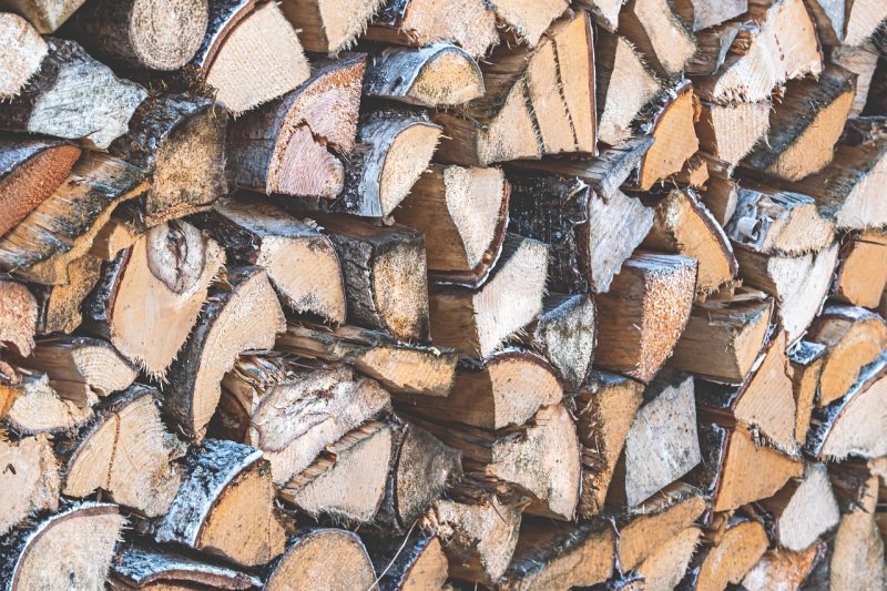 How to Get Rid of Bugs in Firewood and Woodpiles (Naturally) BugWiz