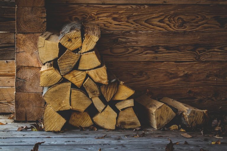 How to Get Rid of Bugs in Firewood and Woodpiles (Naturally) BugWiz