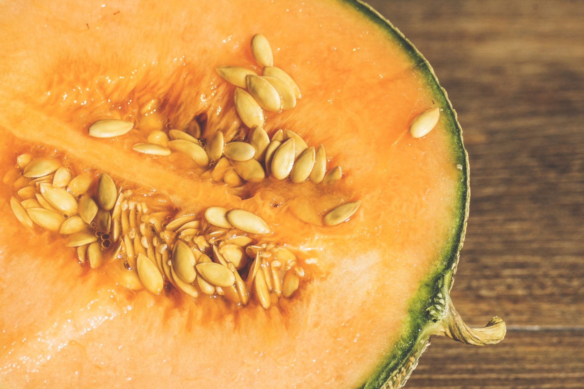 How to Get Rid of Bugs on Cantaloupe Naturally (Muskmelon Pests) BugWiz