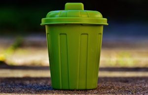 How to Get Rid of Bugs in Your Kitchen Trash Can (Keep Them Out!) | BugWiz