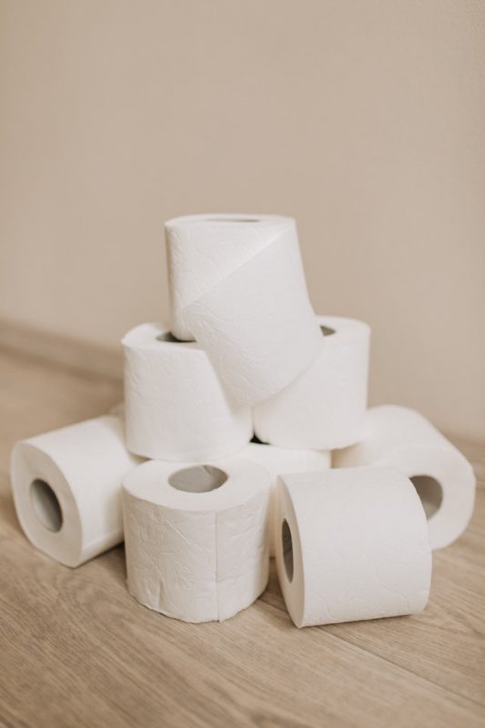 What Bugs Are Eating My Toilet Paper? (How to Get Rid of Paper Eating